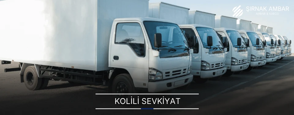 Şırnak Kolili Sevkiyat Ambar Firmaları