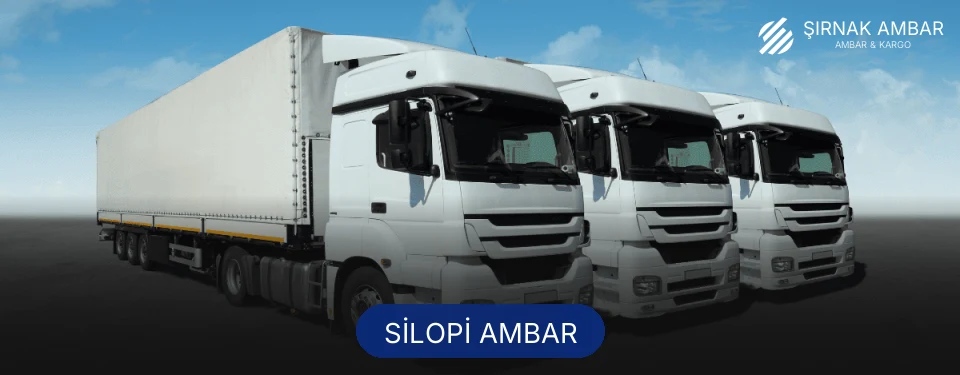 Silopi Ambar