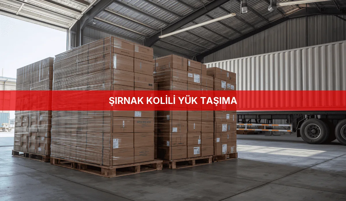 Şırnak Kolili Yük Taşıma